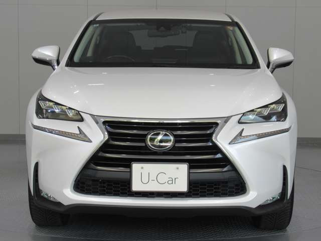 NX200t Iパッケージ