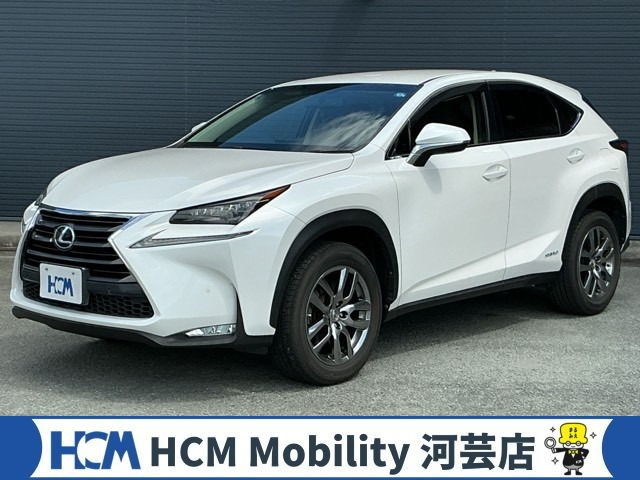 NX300h バージョンL