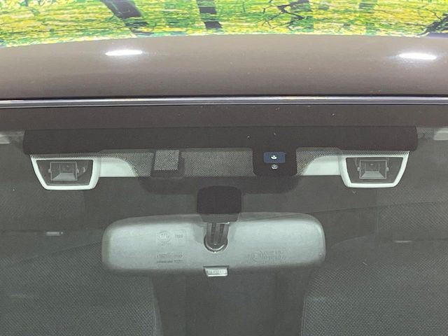 XV