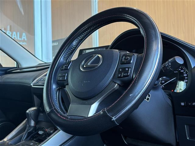 NX300h
