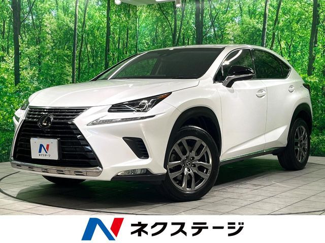NX300 バージョンL