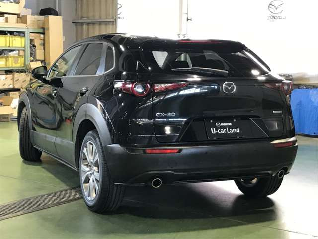 CX-302.0 20S
