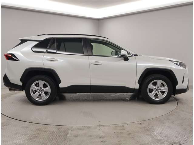 RAV42.0 X