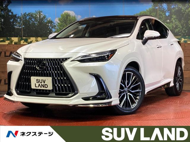 NX350h バージョンL