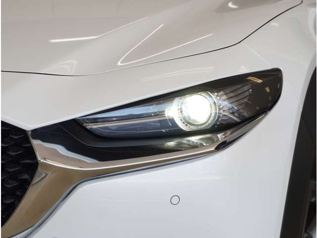 CX-302.0 20S