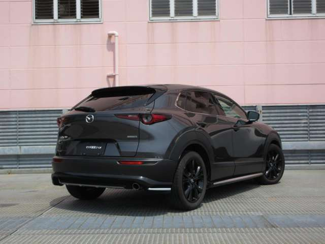 CX-30