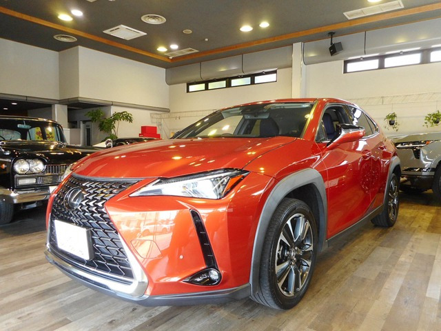 UX200 バージョンC