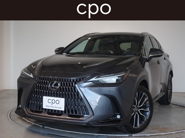 NX350h バージョンL