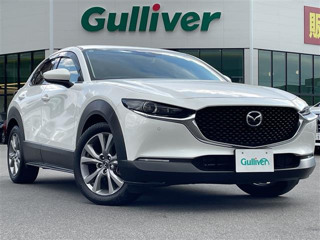 CX-301.8 XD プロアクティブ