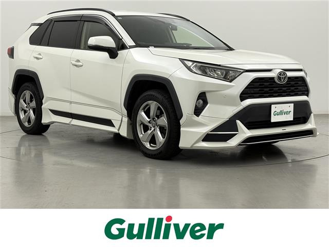 RAV42.0 X