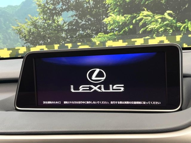 RX300 Fスポーツ