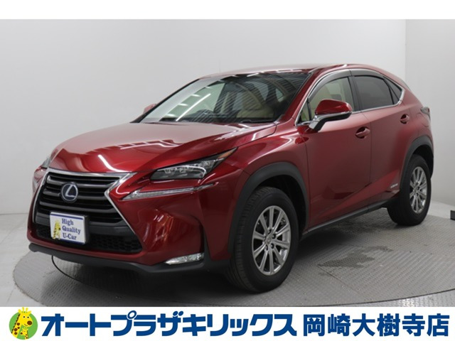 NX300h Iパッケージ