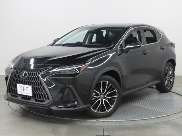 NX350h バージョンL