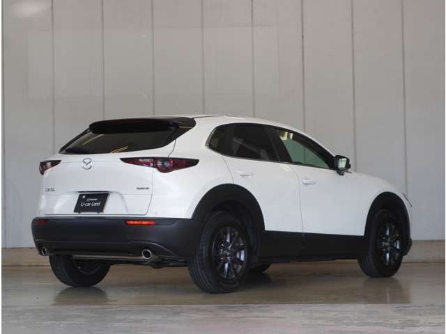 CX-302.0 20S