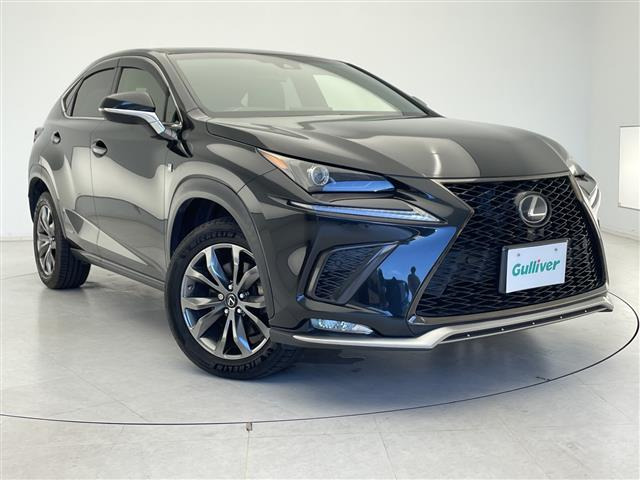 NX300h Fスポーツ