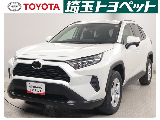 RAV42.0 X