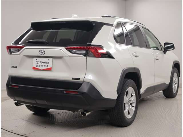 RAV42.0 X
