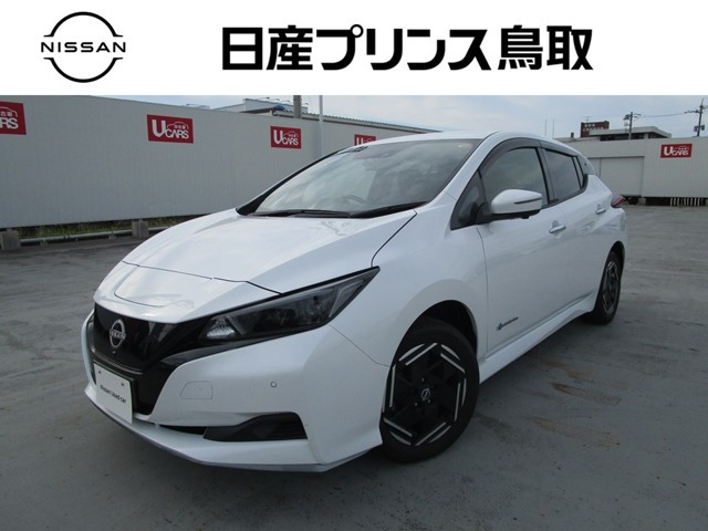 リーフe+ X