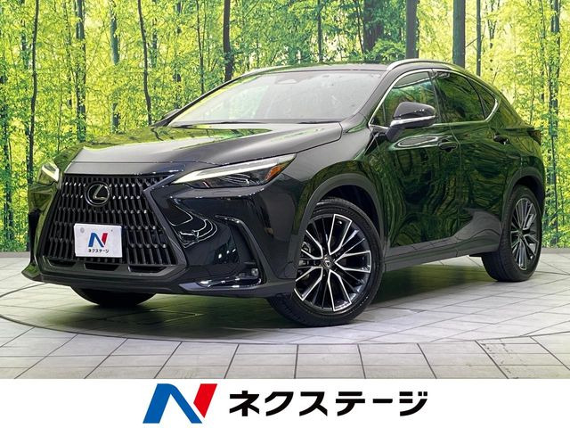 NX350h バージョンL