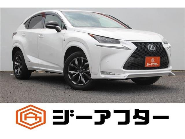 NX300h Fスポーツ