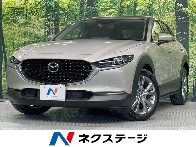 CX-302.0 20S プロアクティブ ツーリングセレクション