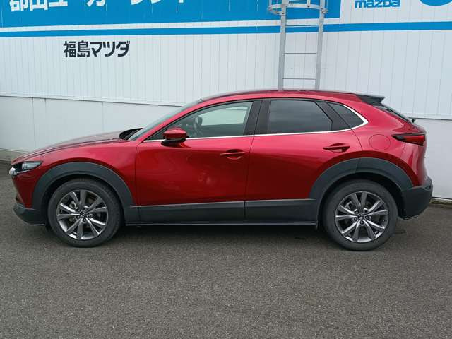 CX-301.8 XD Lパッケージ