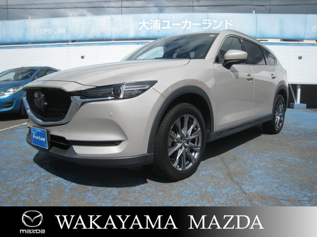CX-8