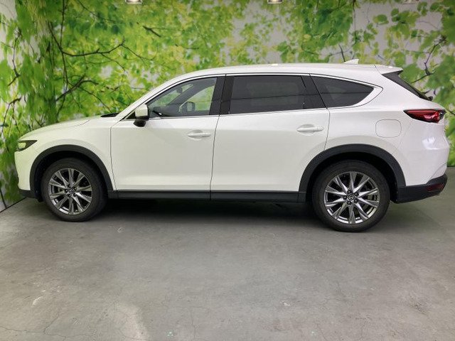 CX-82.5 25S