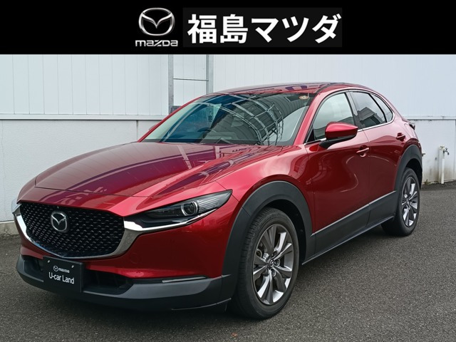 CX-301.8 XD Lパッケージ