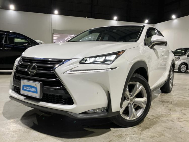 NX300h バージョンL