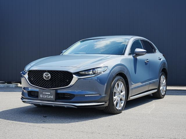 CX-301.8 XD Lパッケージ