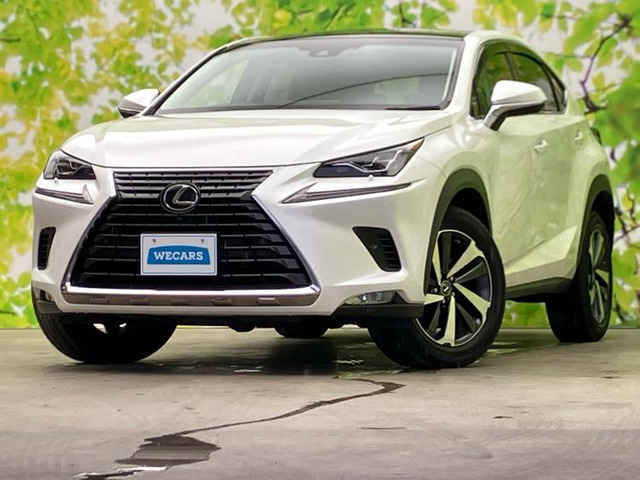 NX300 Iパッケージ 4WD
