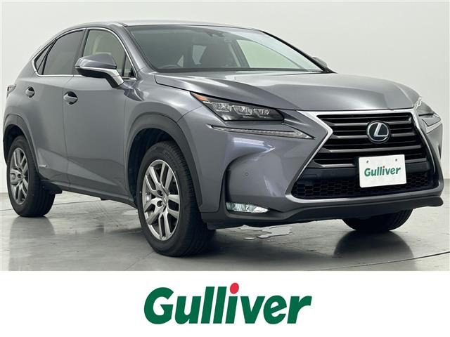 NX300h バージョンL