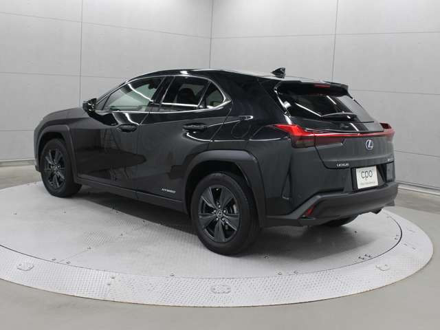 UX250h バージョンC