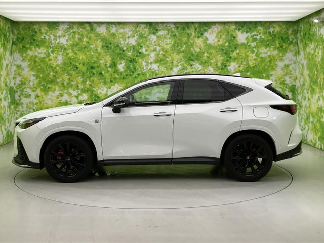 NX350h Fスポーツ