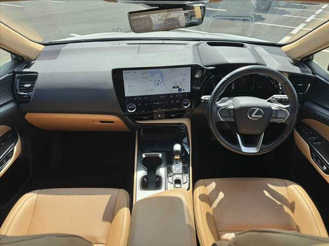 NX250 バージョンL