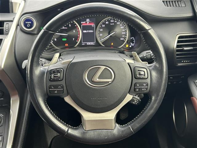 NX300h バージョンL