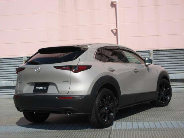 CX-30