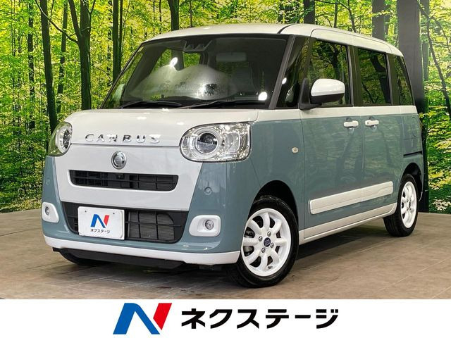 ムーヴキャンバスストライプス G