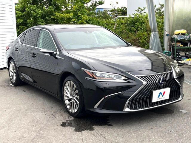 �������x�̃K���X�疌�ŝ����͂������A�㎿�ȃc���E����������B���O����_���J�����؂Ȉ��Ԃ�ی삵�A�F�����E�򉻂�h�~�B�u�e�X�v���b�V���R�[�g�v�A�u�e�v���~�b�T�R�[�g�v���炨�I�т��������܂��B