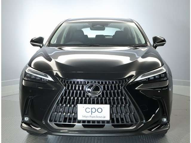 NX350h 4WD