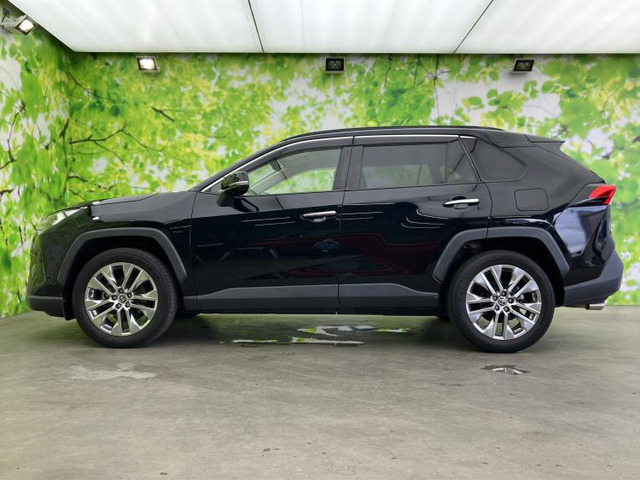 RAV42.0 G Zパッケージ 4WD