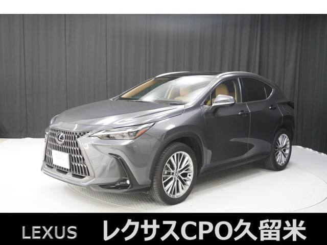 NX250 バージョンL
