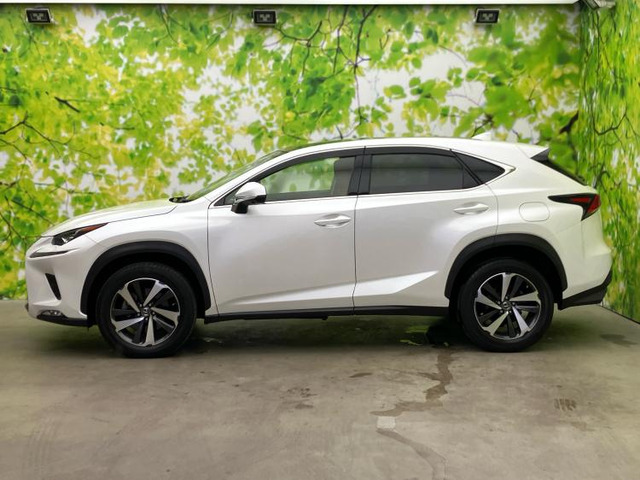 NX300 Iパッケージ 4WD