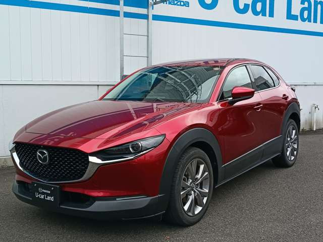 CX-301.8 XD Lパッケージ