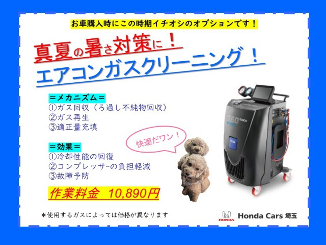 フィット