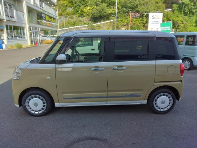 ムーヴキャンバスストライプス G