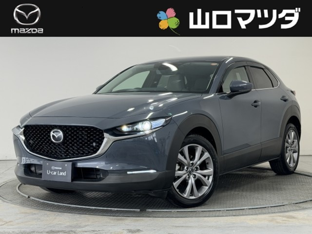 CX-301.8 XD プロアクティブ ツーリングセレクション 4WD