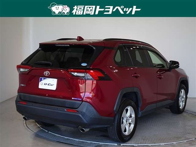 RAV42.0 X