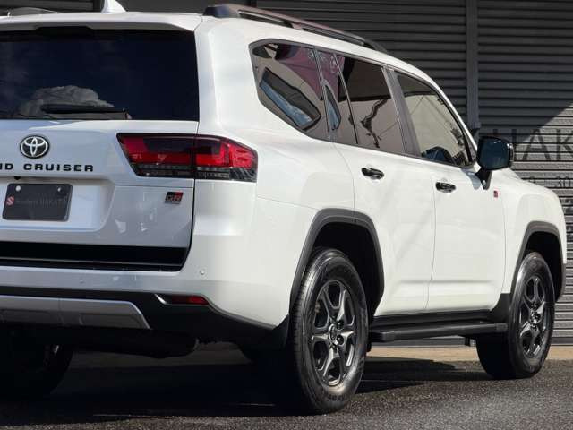 �C���~�l�[�e�b�h�G���g���[�V�X�e��(�h�A���b�N����������Ǝ����Ɩ����_���v���܂�)